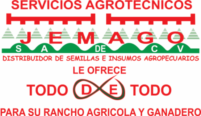 Grupo Jemago